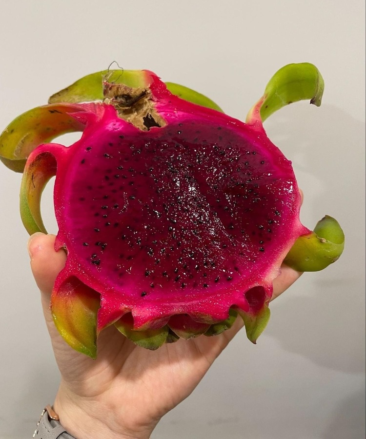 ドラゴンフルーツ