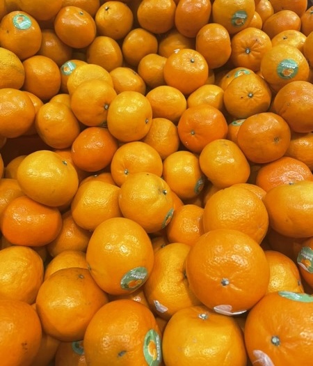 ベトナムのスーパーで売られているみかん